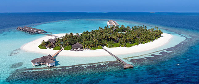 Tauchen Malediven Angaga 