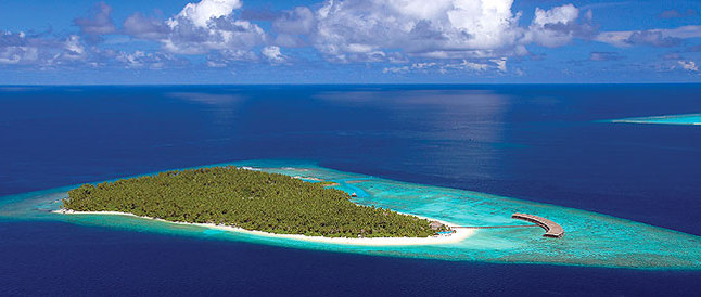 Tauchen Malediven Filitheyo Island Resort