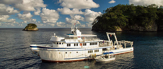 Tauchsafari Cocos Island Argo
