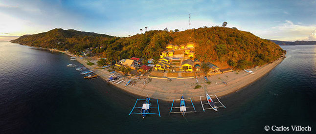 Tauchen Philippinen Buceo Anilao Dive Resort