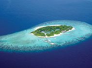 Tauchen Malediven im Eriyadu Island Resort