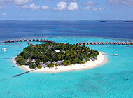 Tauchen Malediven im Thulhagiri Island Resort