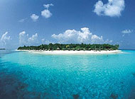 Tauchen Malediven im Reethi Beach Resort