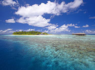 Tauchen Malediven im Filitheyo Island Resort