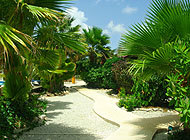 Tauchen auf Bonaire im Tropical Inn