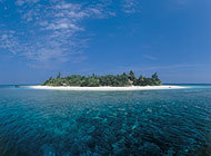 Tauchen auf den Malediven im Bathala Island Resort