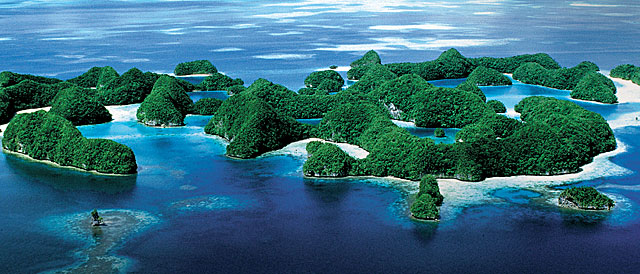 Tauchsafaris Palau