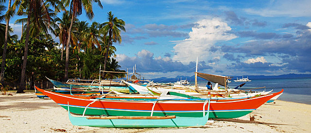 Tauchsafaris Philippinen