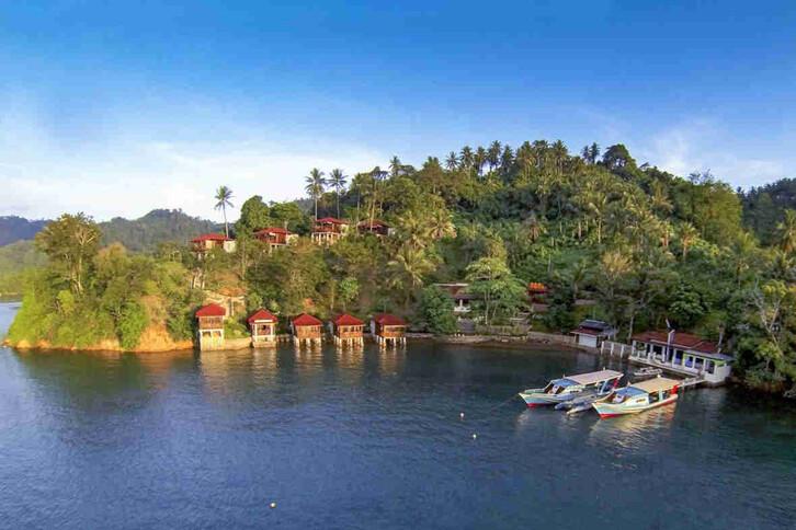 Tauchen Bastianos Froggies Lembeh